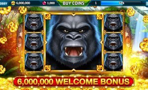 wildbet