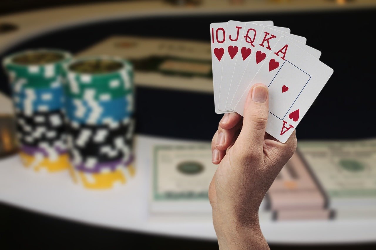 wildbet