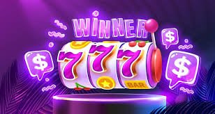 wildbet