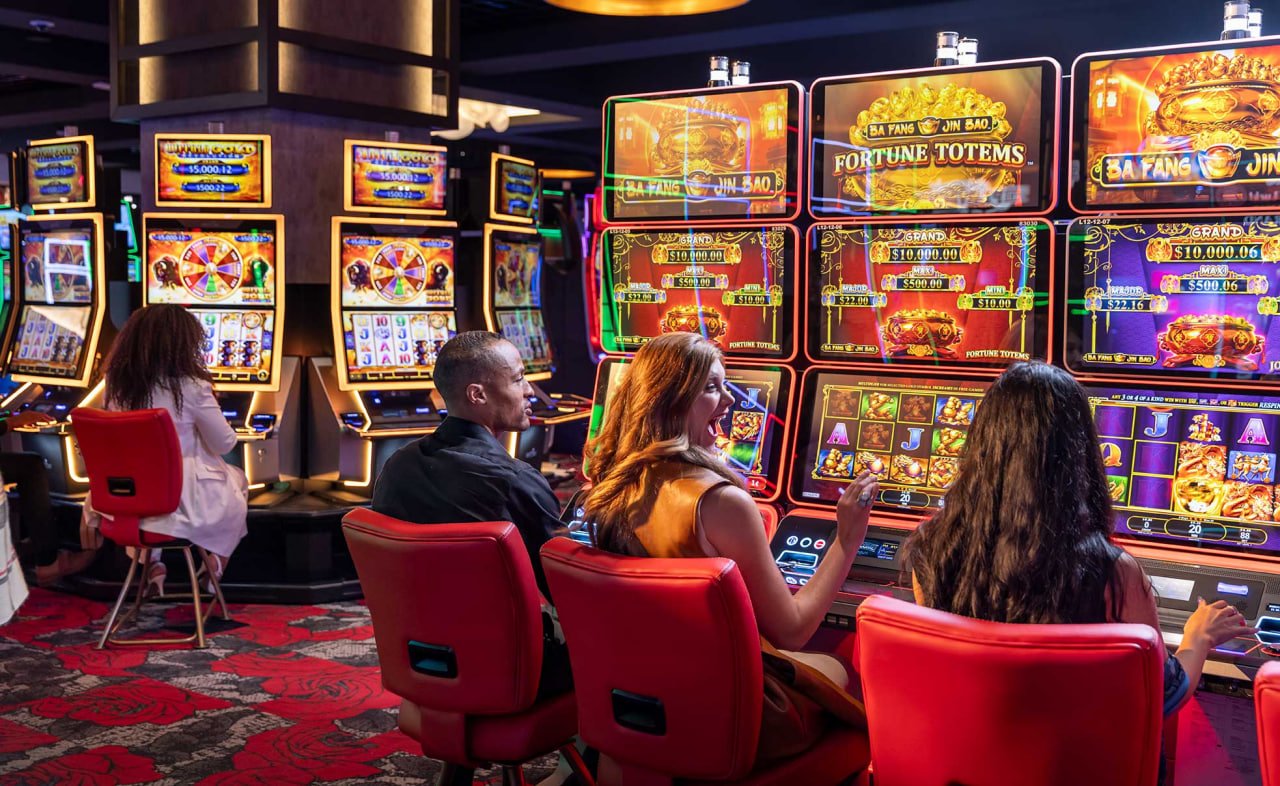 wildbet