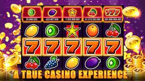 wildbet